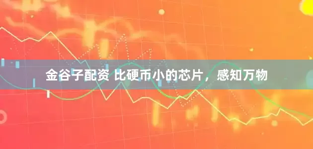 金谷子配资 比硬币小的芯片，感知万物