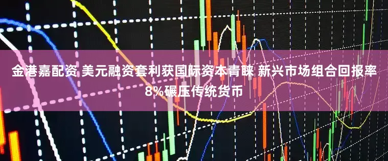 金港嘉配资 美元融资套利获国际资本青睐 新兴市场组合回报率8%碾压传统货币