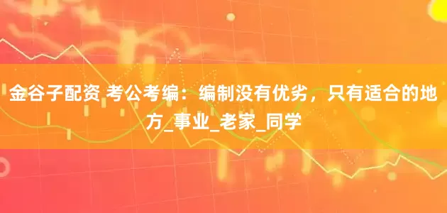 金谷子配资 考公考编：编制没有优劣，只有适合的地方_事业_老家_同学