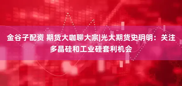金谷子配资 期货大咖聊大宗|光大期货史玥明：关注多晶硅和工业硅套利机会