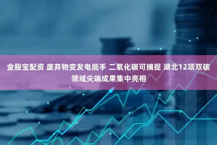 金股宝配资 废弃物变发电能手 二氧化碳可捕捉 湖北12项双碳领域尖端成果集中亮相
