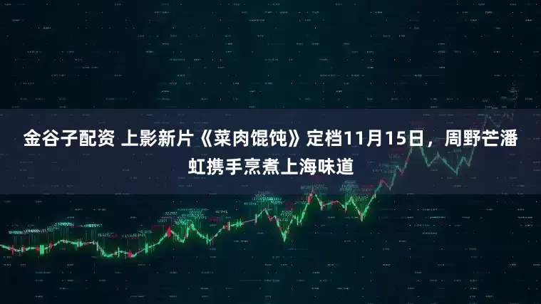 金谷子配资 上影新片《菜肉馄饨》定档11月15日,周野芒潘虹携手烹煮上海味道