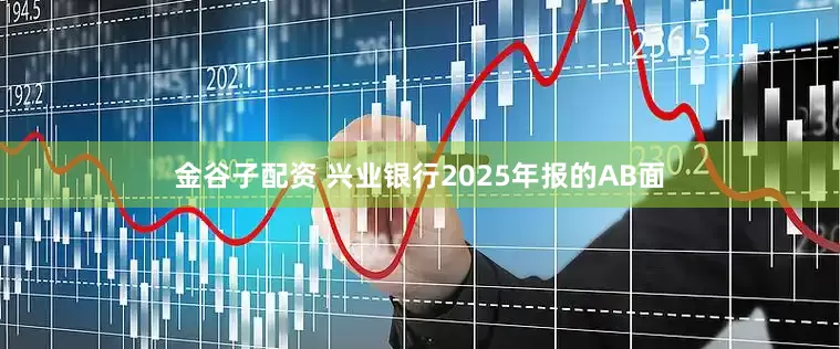 金谷子配资 兴业银行2025年报的AB面